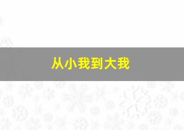 从小我到大我