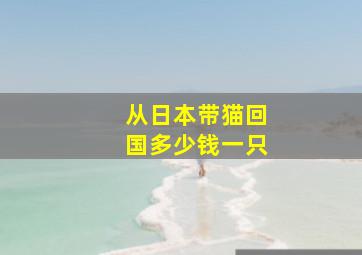 从日本带猫回国多少钱一只