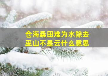 仓海桑田难为水除去巫山不是云什么意思