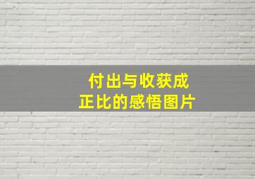 付出与收获成正比的感悟图片