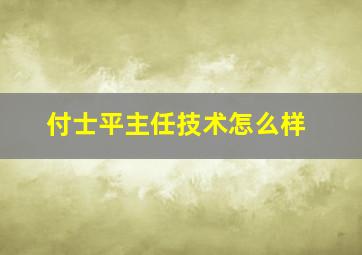 付士平主任技术怎么样