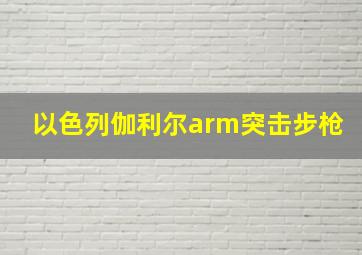 以色列伽利尔arm突击步枪