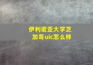 伊利诺亚大学芝加哥uic怎么样