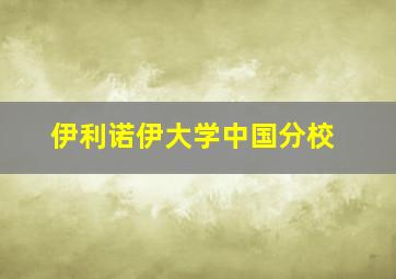 伊利诺伊大学中国分校