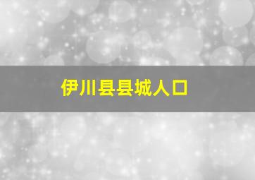 伊川县县城人口