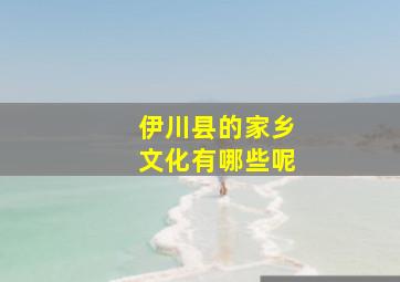 伊川县的家乡文化有哪些呢