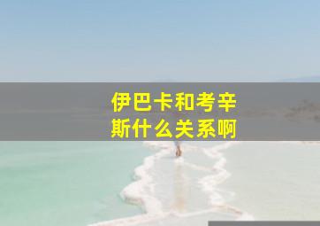 伊巴卡和考辛斯什么关系啊