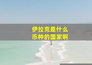 伊拉克是什么币种的国家啊