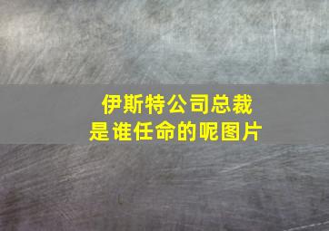 伊斯特公司总裁是谁任命的呢图片