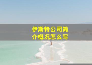 伊斯特公司简介概况怎么写