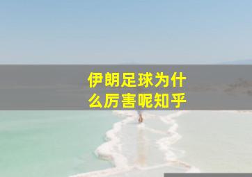 伊朗足球为什么厉害呢知乎