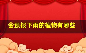 会预报下雨的植物有哪些