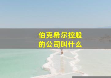 伯克希尔控股的公司叫什么