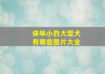 体味小的大型犬有哪些图片大全