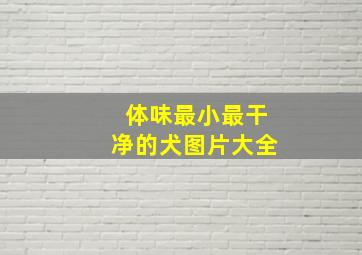 体味最小最干净的犬图片大全