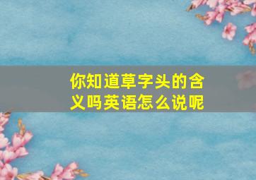 你知道草字头的含义吗英语怎么说呢