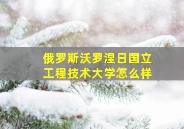 俄罗斯沃罗涅日国立工程技术大学怎么样