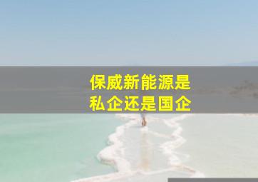 保威新能源是私企还是国企