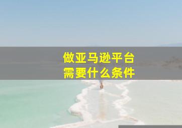 做亚马逊平台需要什么条件