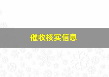 催收核实信息