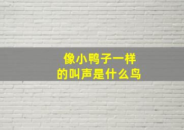 像小鸭子一样的叫声是什么鸟