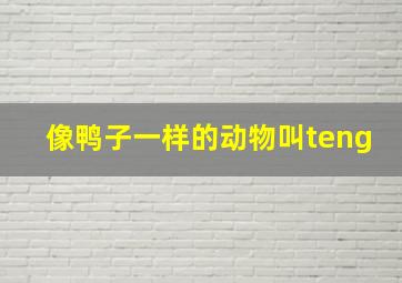 像鸭子一样的动物叫teng