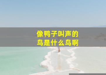 像鸭子叫声的鸟是什么鸟啊