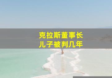 克拉斯董事长儿子被判几年