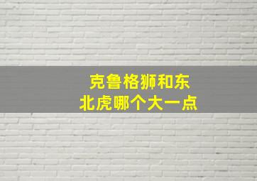 克鲁格狮和东北虎哪个大一点