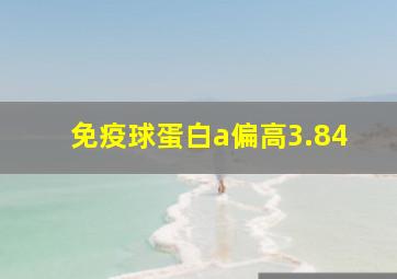 免疫球蛋白a偏高3.84