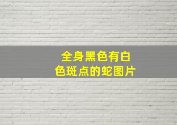 全身黑色有白色斑点的蛇图片