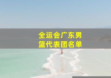 全运会广东男篮代表团名单