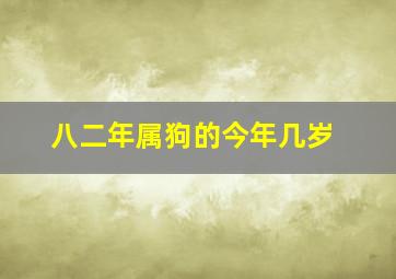 八二年属狗的今年几岁