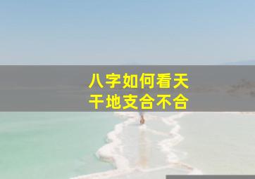 八字如何看天干地支合不合