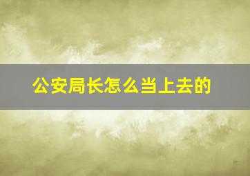 公安局长怎么当上去的