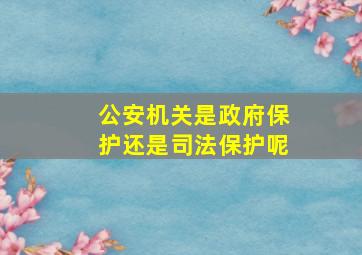 公安机关是政府保护还是司法保护呢