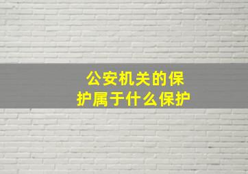 公安机关的保护属于什么保护