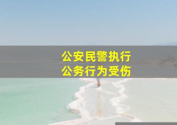 公安民警执行公务行为受伤