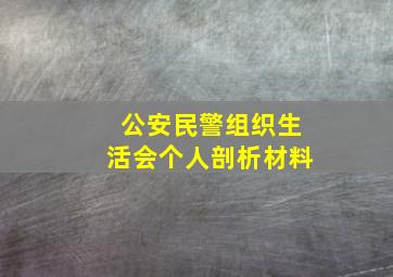 公安民警组织生活会个人剖析材料