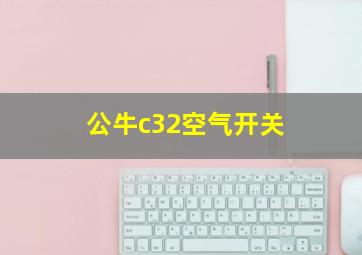 公牛c32空气开关