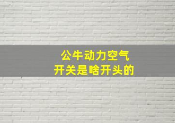 公牛动力空气开关是啥开头的