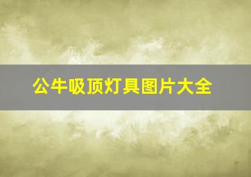 公牛吸顶灯具图片大全