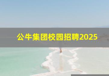 公牛集团校园招聘2025