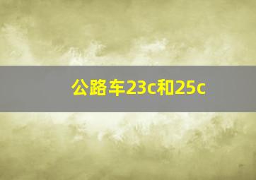 公路车23c和25c