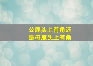 公鹿头上有角还是母鹿头上有角