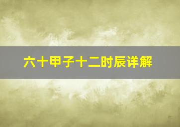 六十甲子十二时辰详解