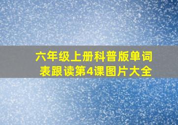 六年级上册科普版单词表跟读第4课图片大全