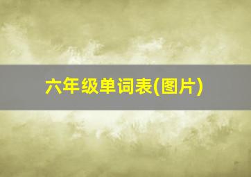 六年级单词表(图片)