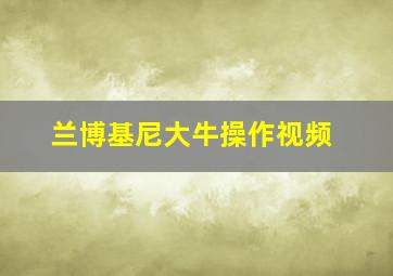 兰博基尼大牛操作视频