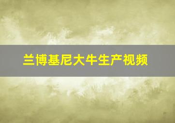 兰博基尼大牛生产视频